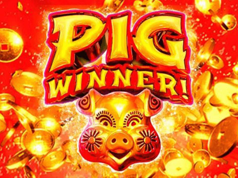 Pig Winner